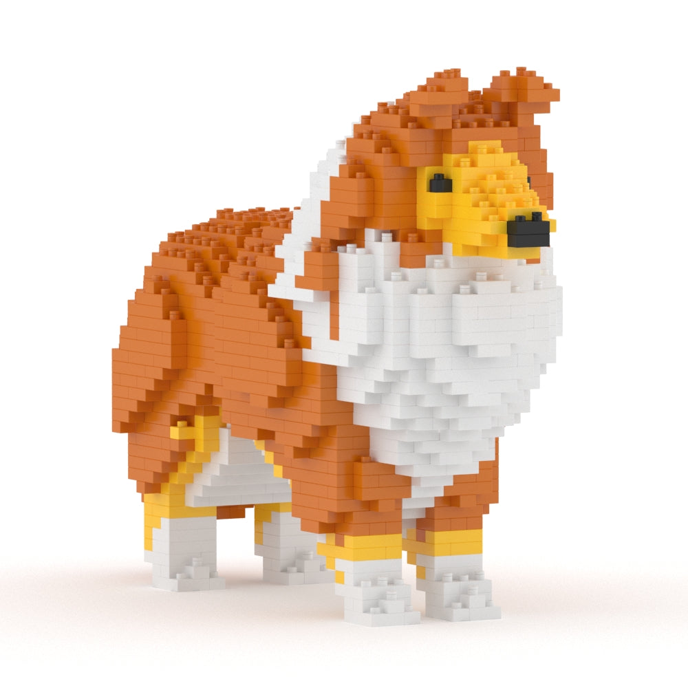 Shetland Sheepdog 01-S13