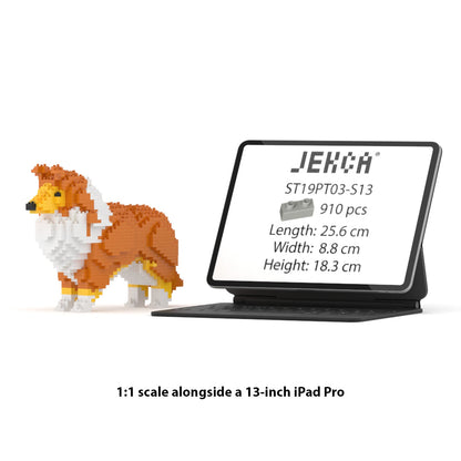 Shetland Sheepdog 01-S13