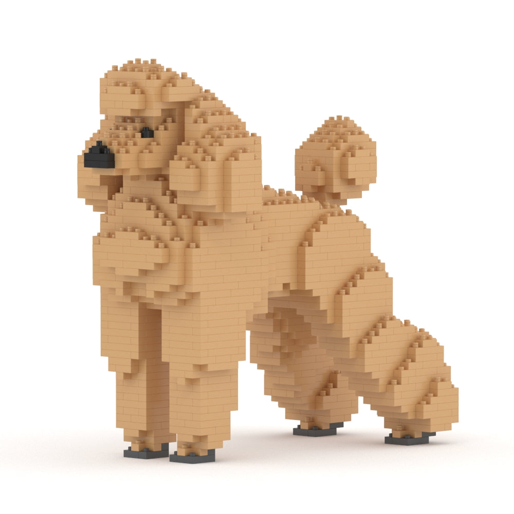 Standard Poodle 01-M02