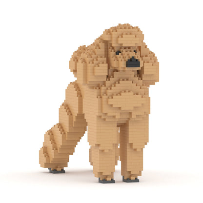 Standard Poodle 01-M02