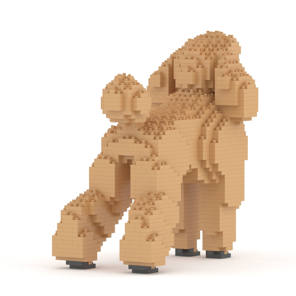 Standard Poodle 01-M02