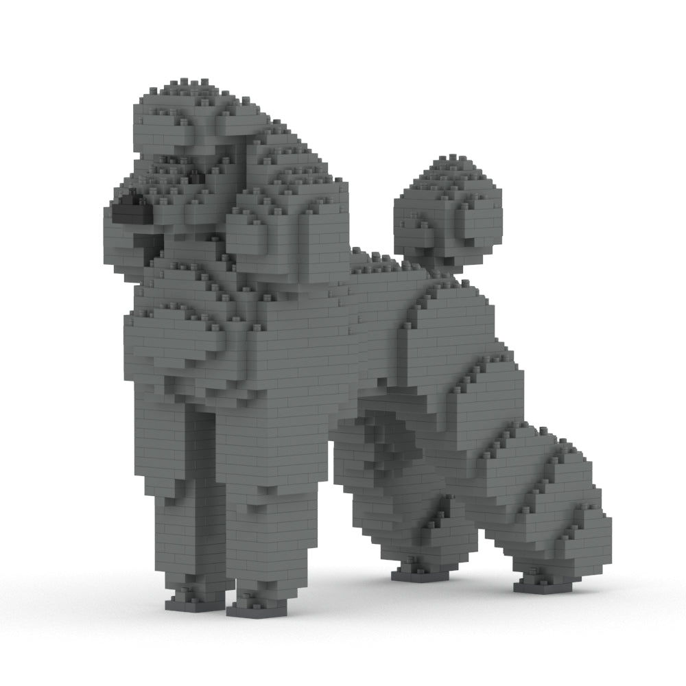 Standard Poodle 01-M03
