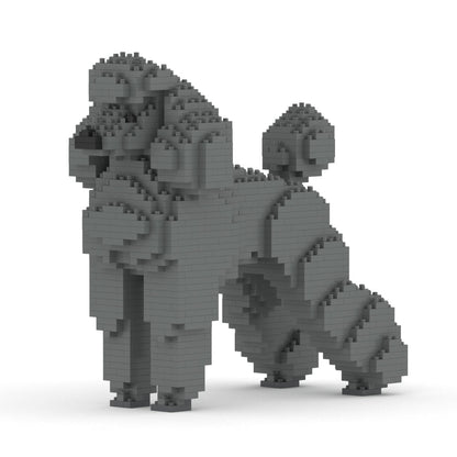 Standard Poodle 01-M03