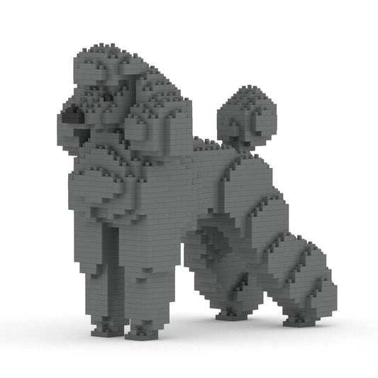 Standard Poodle 01-M03