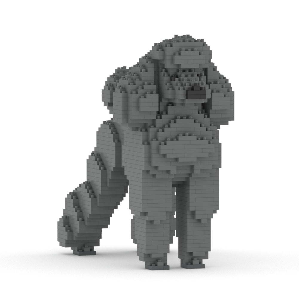 Standard Poodle 01-M03