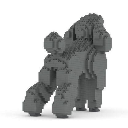 Standard Poodle 01-M03