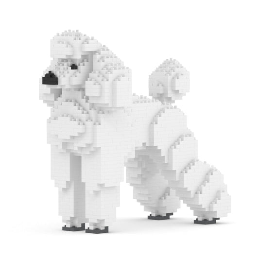 Standard Poodle 01-M01