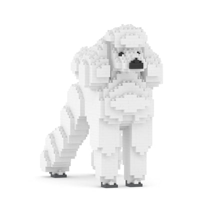 Standard Poodle 01-M01