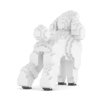 Standard Poodle 01-M01
