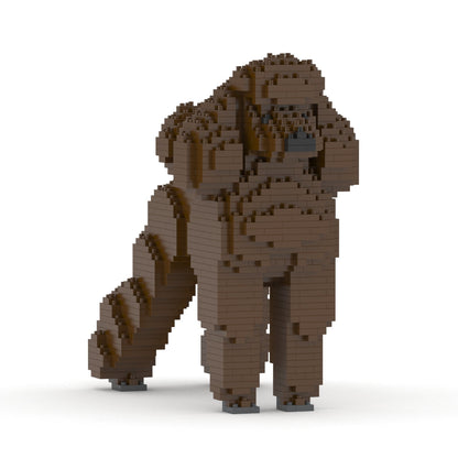 Standard Poodle 01-S11