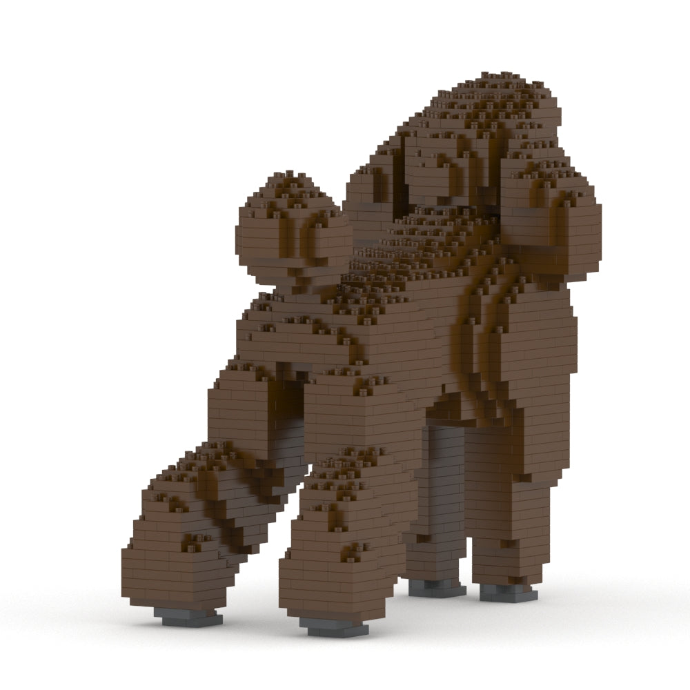 Standard Poodle 01-S11