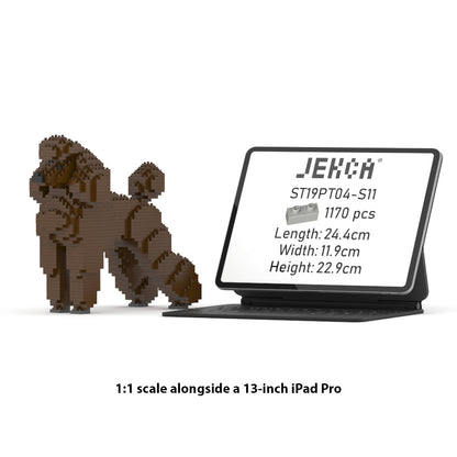 Standard Poodle 01-S11