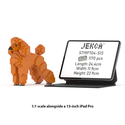 Standard Poodle 01-S13