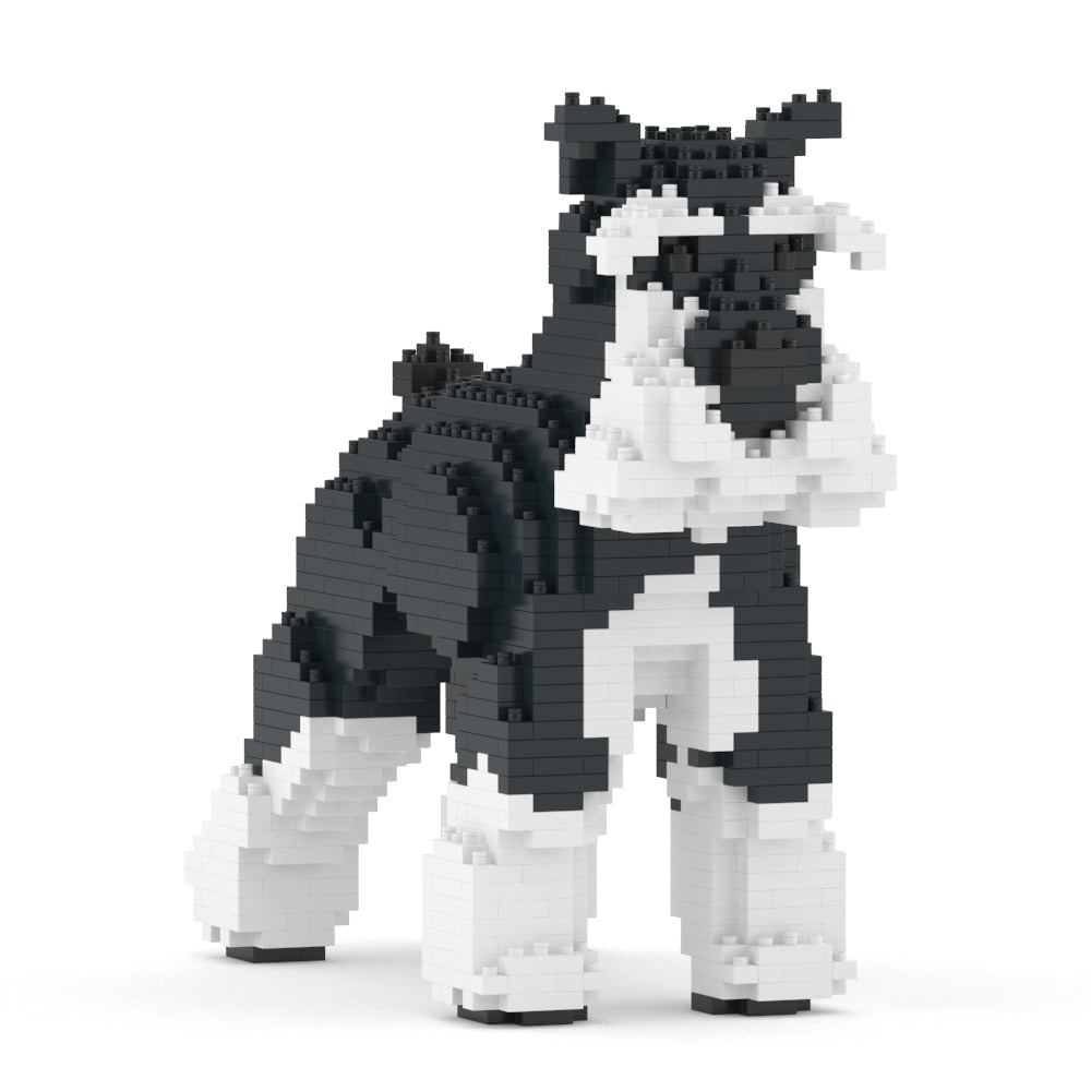 Standard Schnauzer 01-M02b