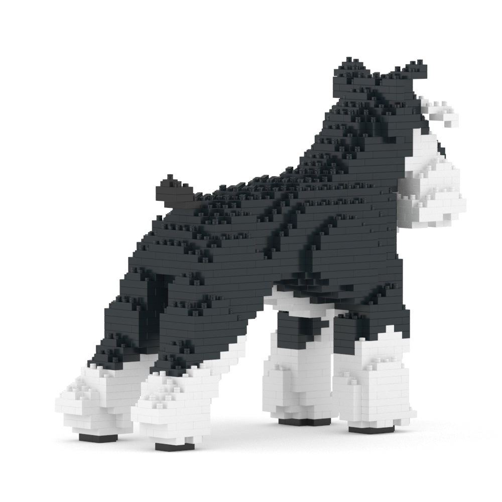 Standard Schnauzer 01-M02b