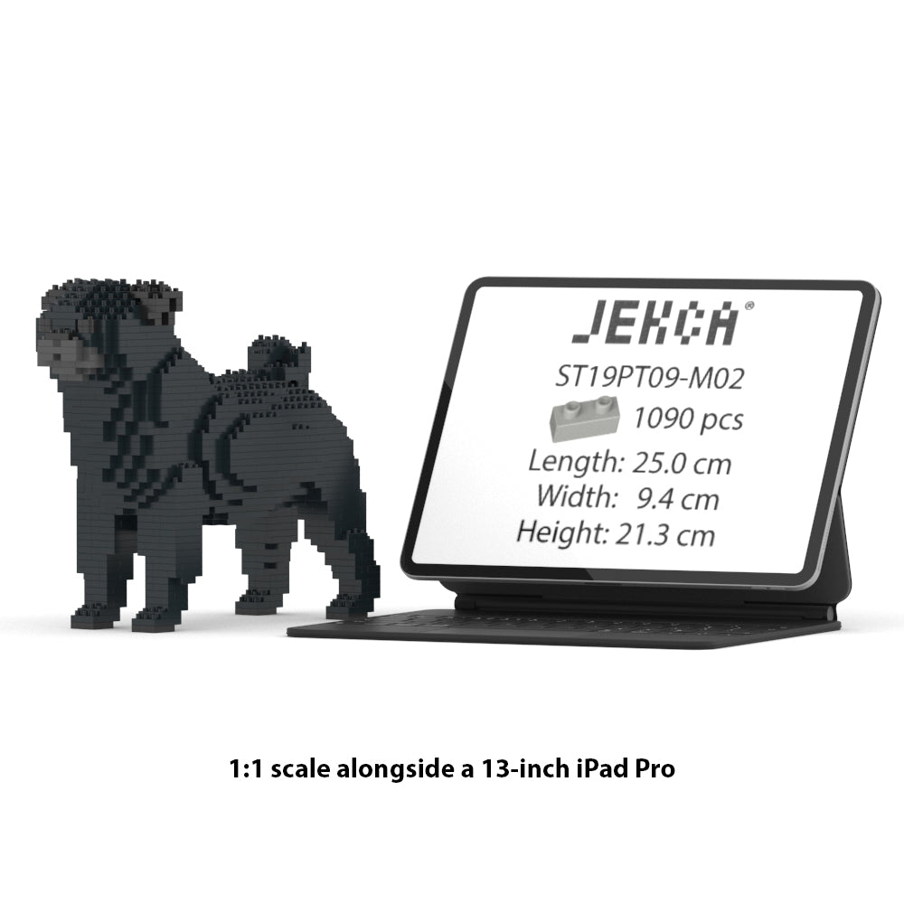 Pug 01-M02