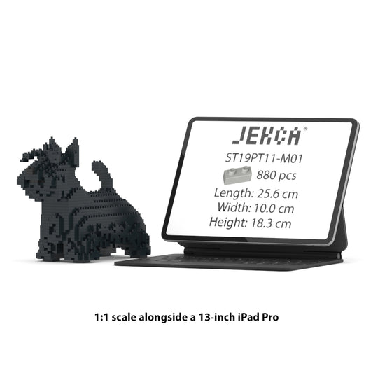 Scottish Terrier 01-M01