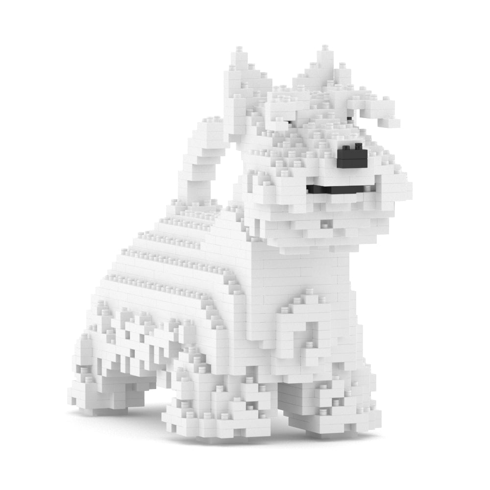 Scottish Terrier 01-M02