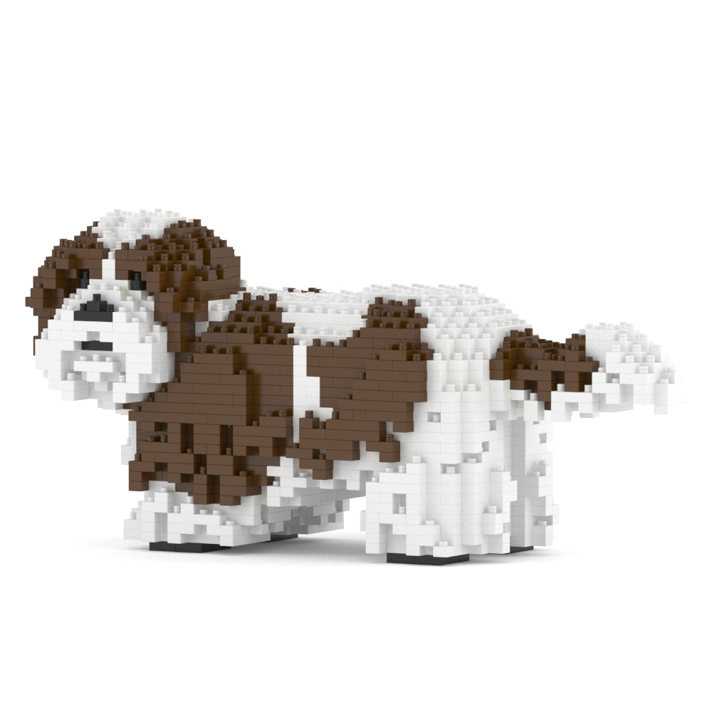 Shih Tzu 01-M01