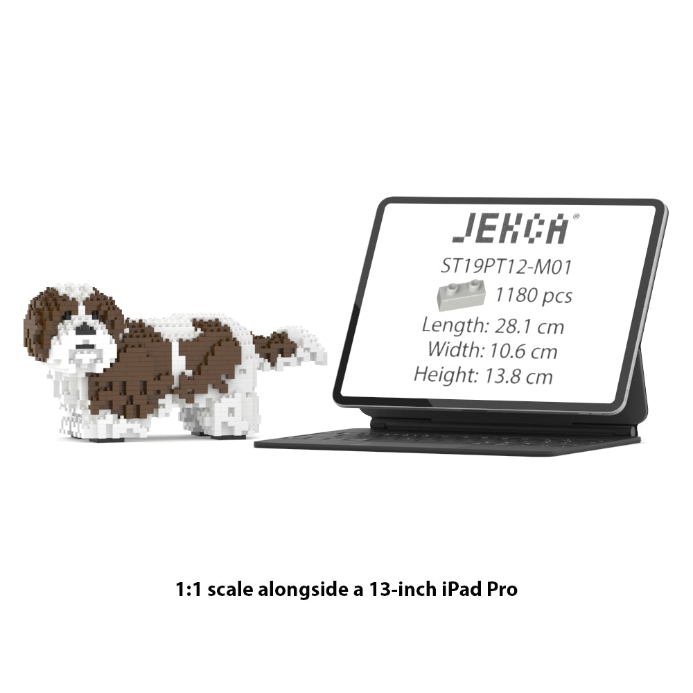 Shih Tzu 01-M01
