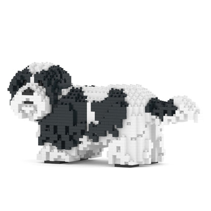 Shih Tzu 01-M02