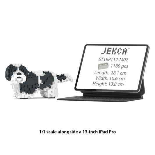 Shih Tzu 01-M02