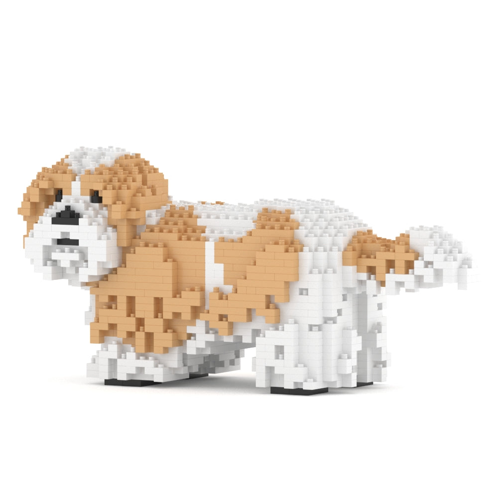 Shih Tzu 01-M04