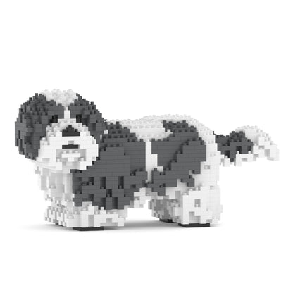 Shih Tzu 01-M05