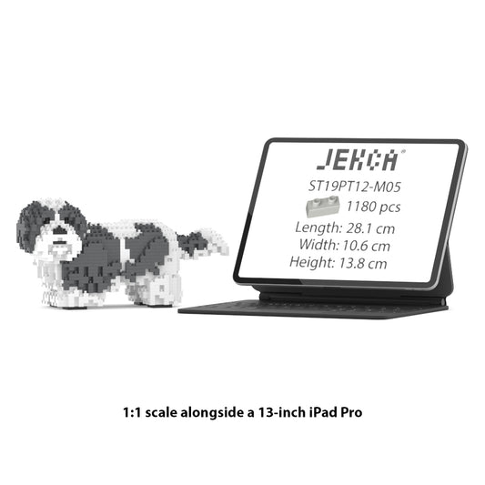 Shih Tzu 01-M05