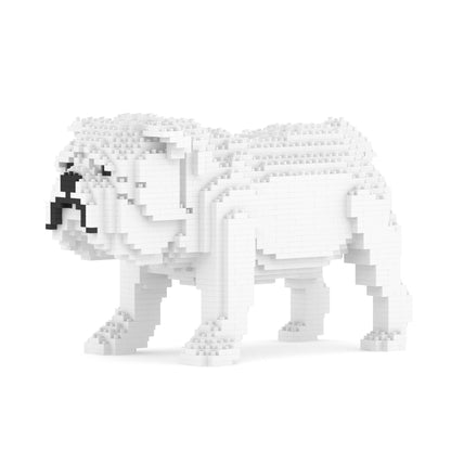 English Bulldog 01-M02