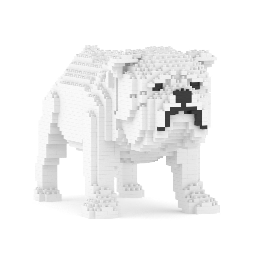English Bulldog 01-M02
