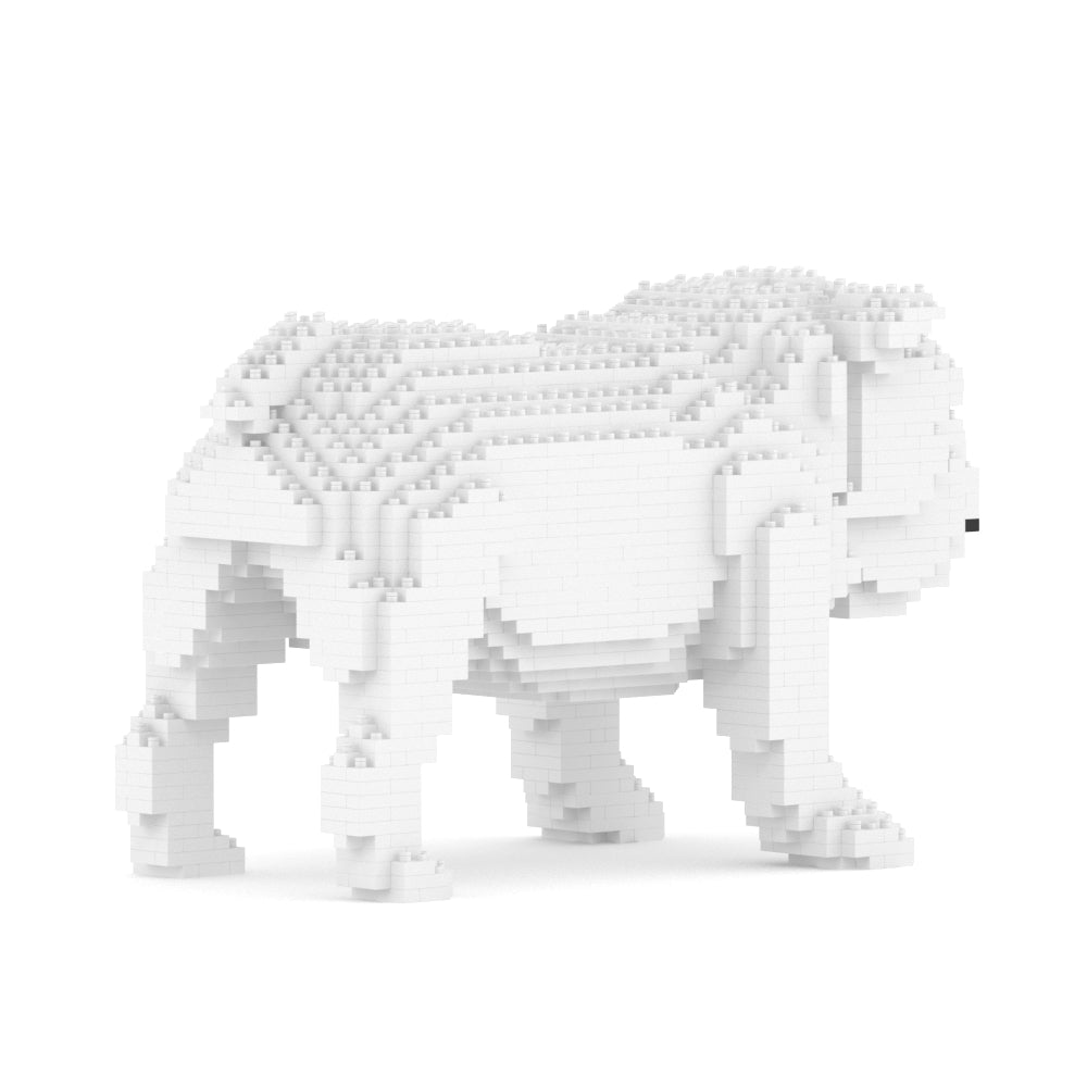 English Bulldog 01-M02