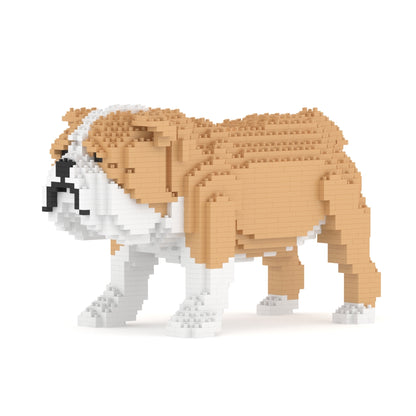 English Bulldog 01-M03
