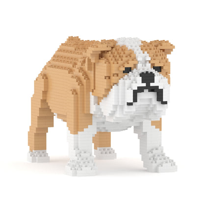 English Bulldog 01-M03