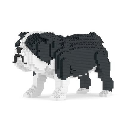 English Bulldog 01-M04