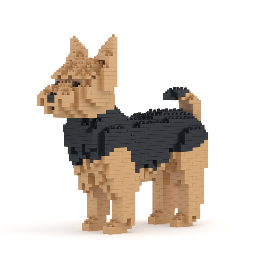 Jorkširski terier 01