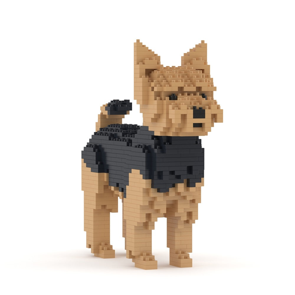 Jorkširski terier 01