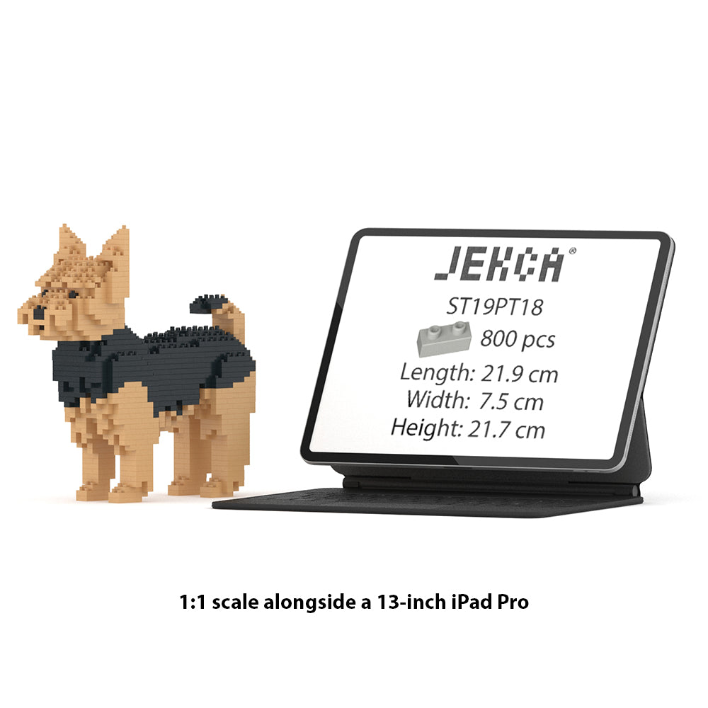 Jorkširski terier 01