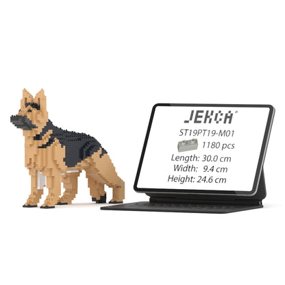 German Shepherd 01-M01