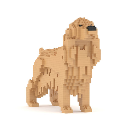 Angleški koker španjel 01-M01