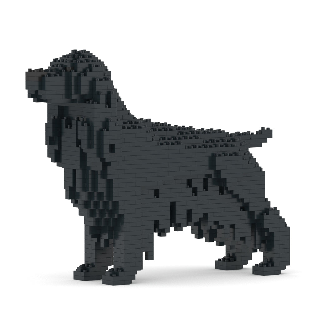 Angļu kokerspaniels 01-M02