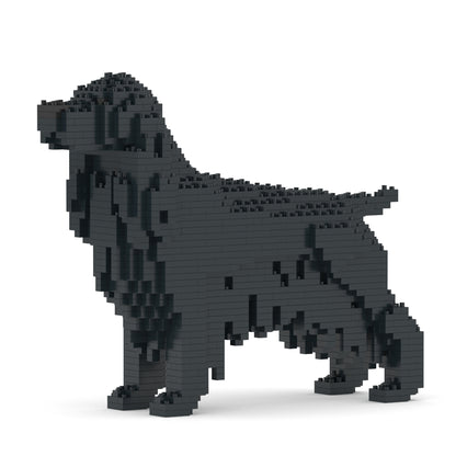 Angļu kokerspaniels 01-M02
