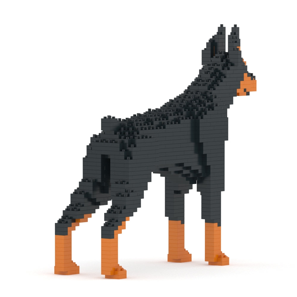Doberman Pinscher 01-M01