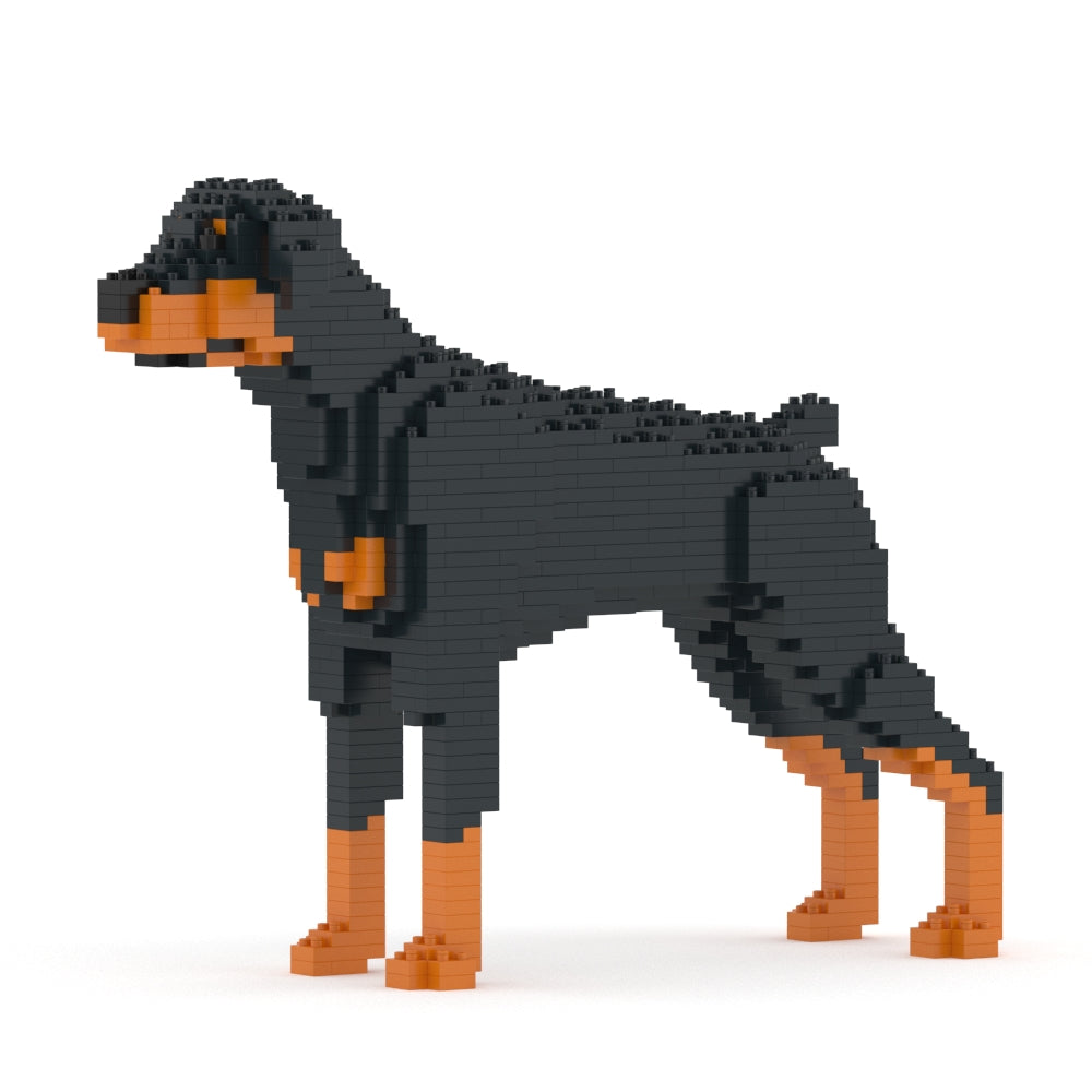 Doberman Pinscher 01-M01