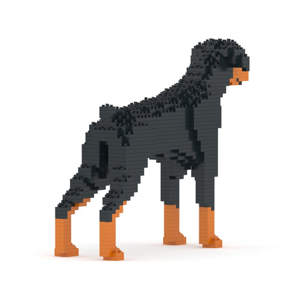 Doberman Pinscher 01-M01