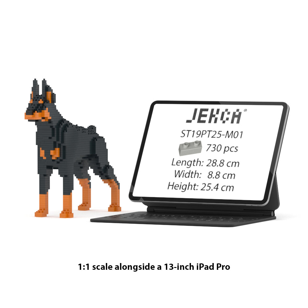 Doberman Pinscher 01-M01