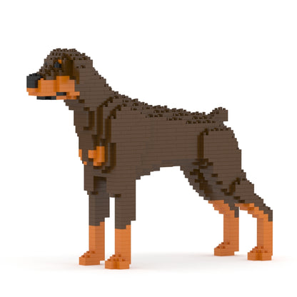 Doberman Pinscher 01-M02