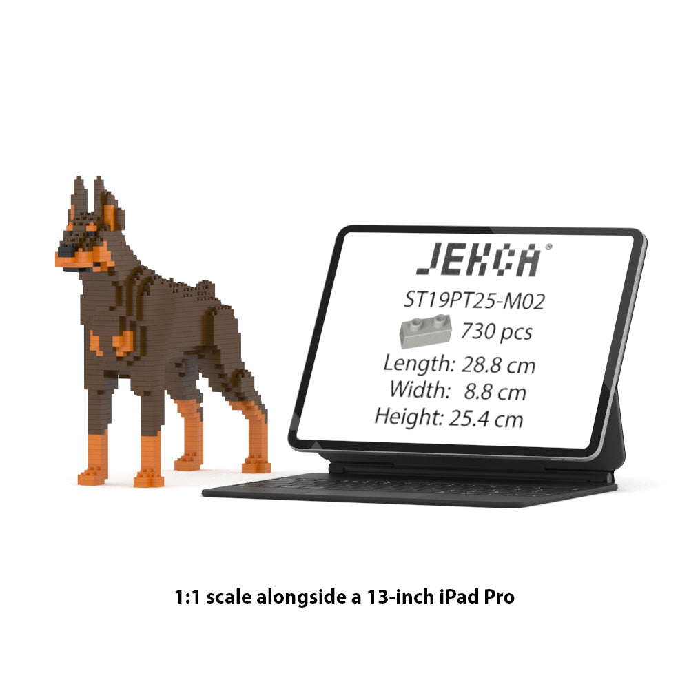 Doberman Pinscher 01-M02