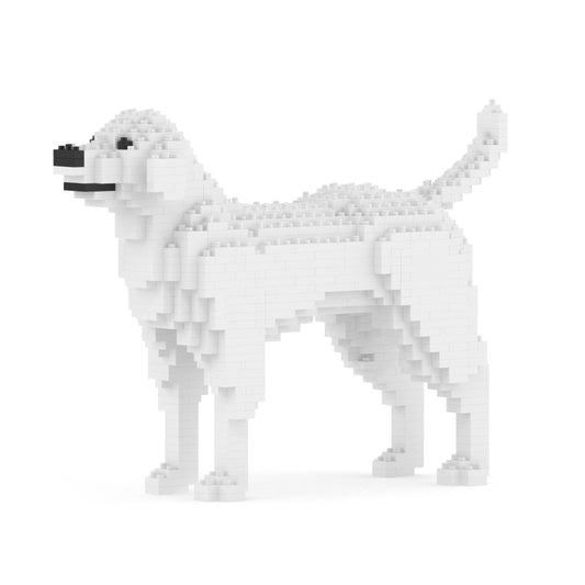 Labrador Retriever 01-M02