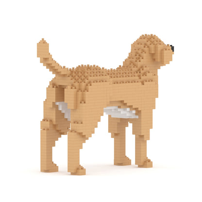 Labrador Retriever 01-M04